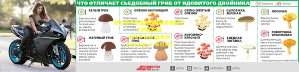 ГАЛЛЮЦИНОГЕННЫЕ ГРИБЫ Нея