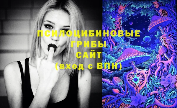 героин Новодвинск