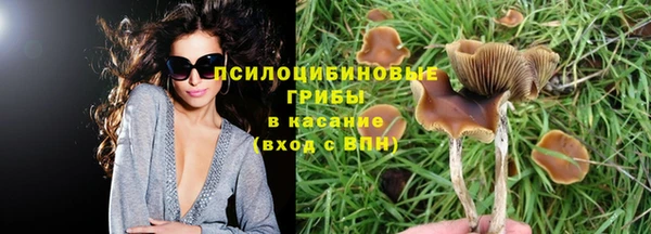 дурь Новокубанск