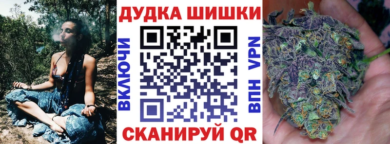 закладки  Нестеров  Шишки марихуана сатива 